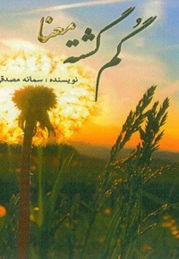 گم گشته معنا